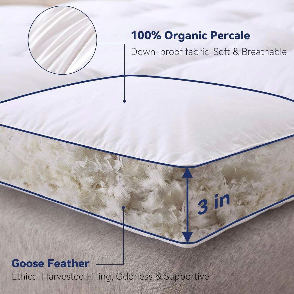 Topper de colchón de plumas de ganso blanco y algodón 100% orgánico - LeWinBedding (Blanco, King)