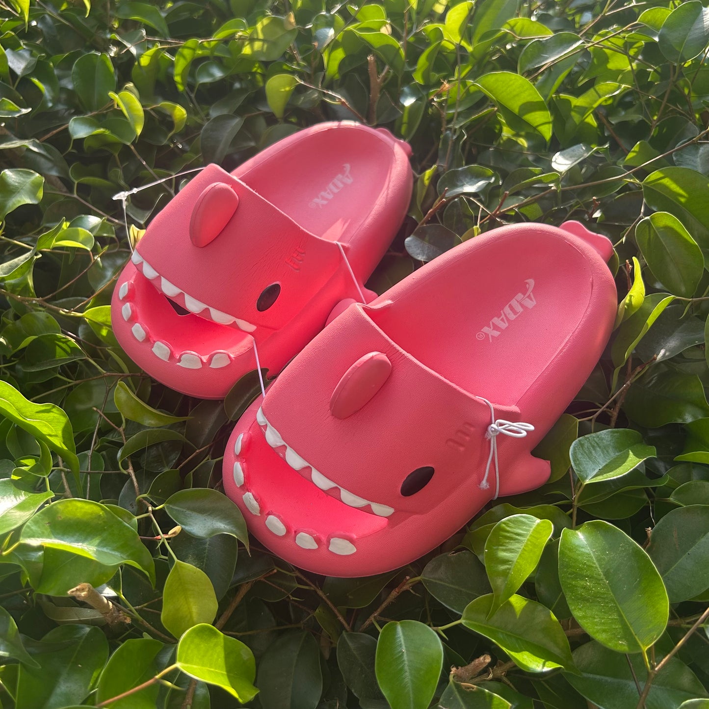 Sandalias de Tiburón Sharkiez Sharklas - Talla 30/31 (20cm)