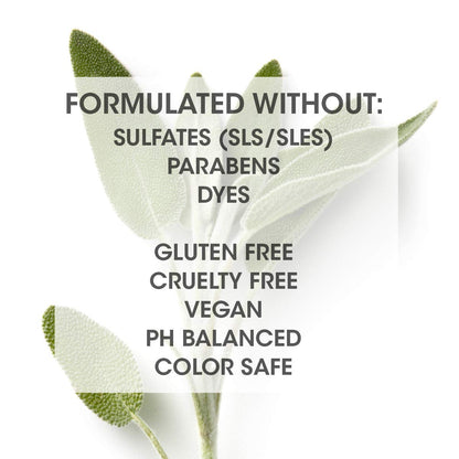 Shampoo Unisex para Volumen e Hidratación Profunda (319ml) - SEVEN Haircare