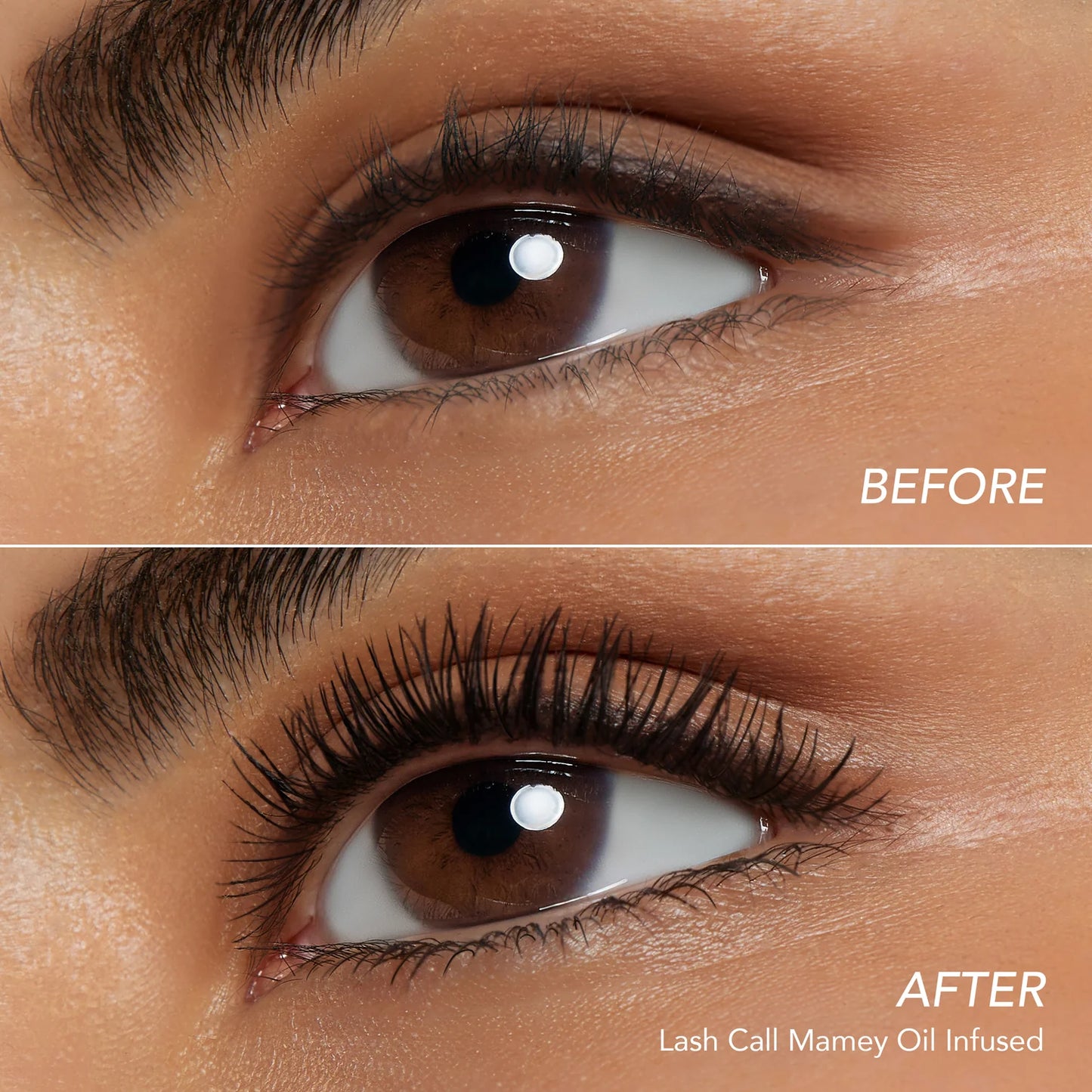 Encrespador de Pestañas LashCall (2 Estilos) - AmorUs ✦ Bajo pedido