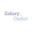 galaxyoutletcr.com logo