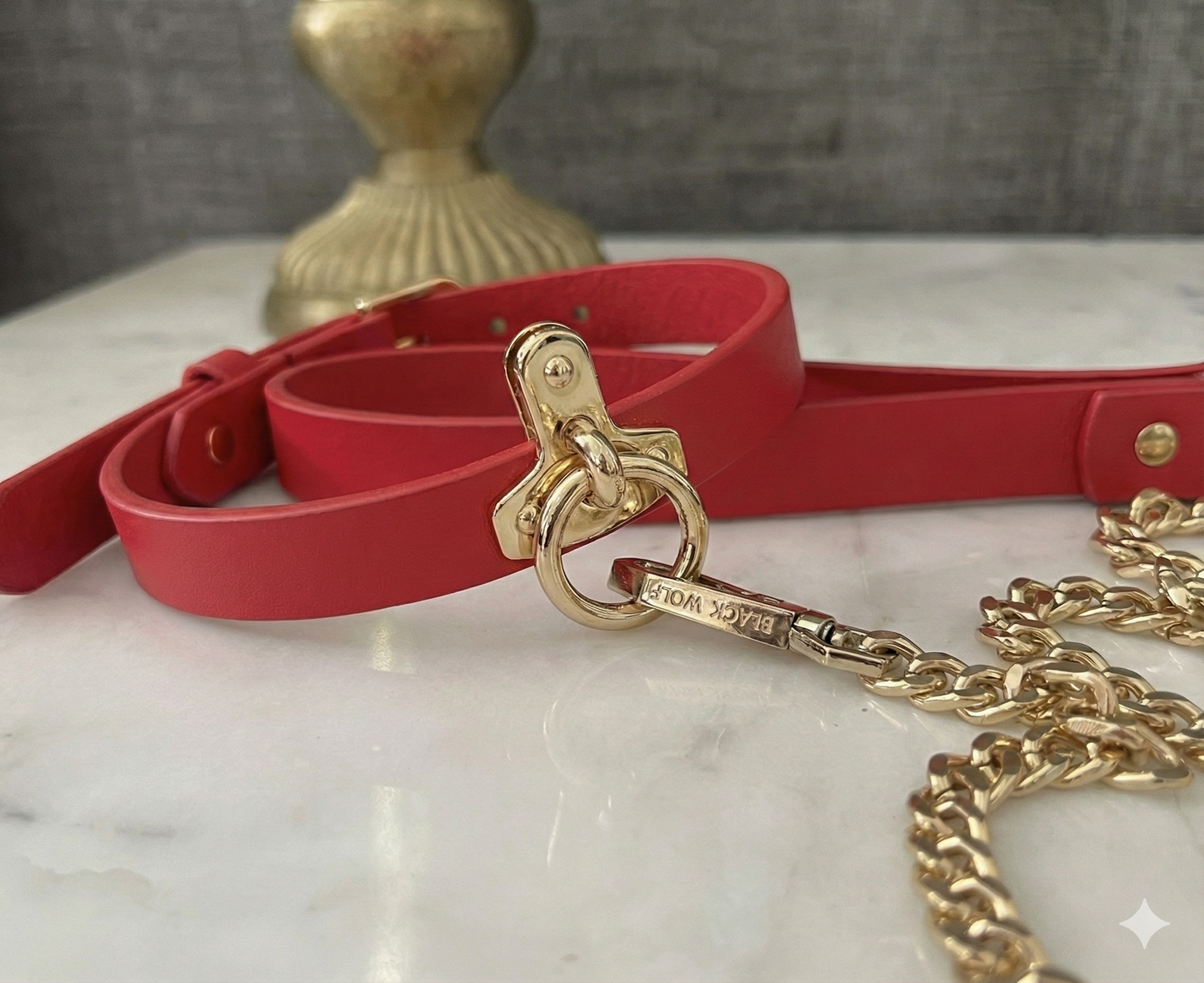 Set Collar y Correa BDSM (4 Colores) ✦ Bajo pedido