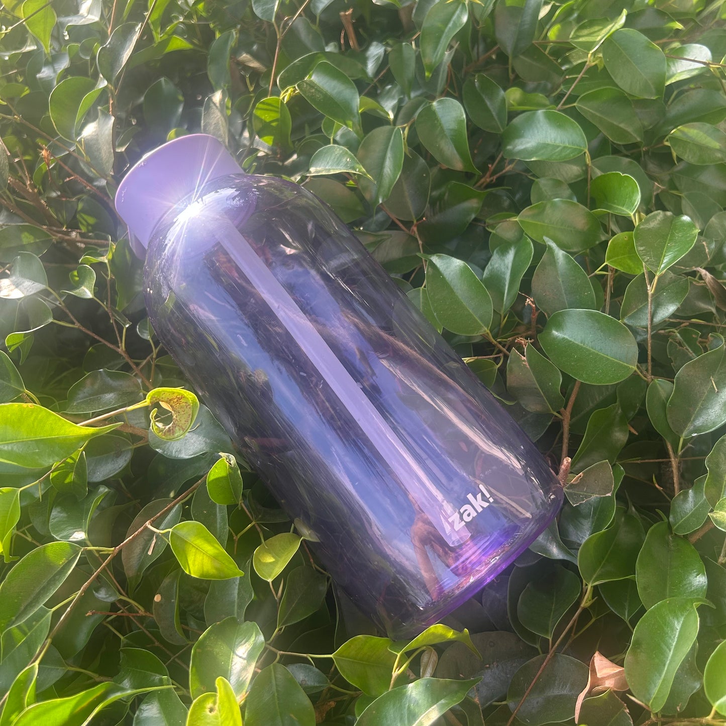 Botella 64oz - Zak