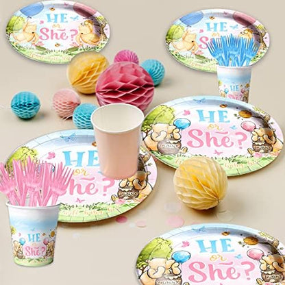 Set de Decoración para Revelación de Género – Winnie Pooh (142pcz)